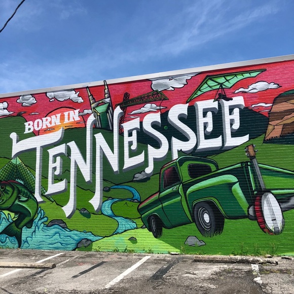 Meet your Posher, Cinnamon & Victor - Picture 1 of 3